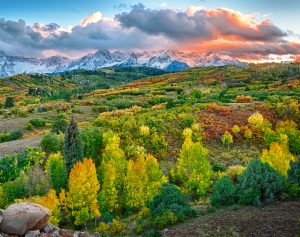 placeholder_colorado