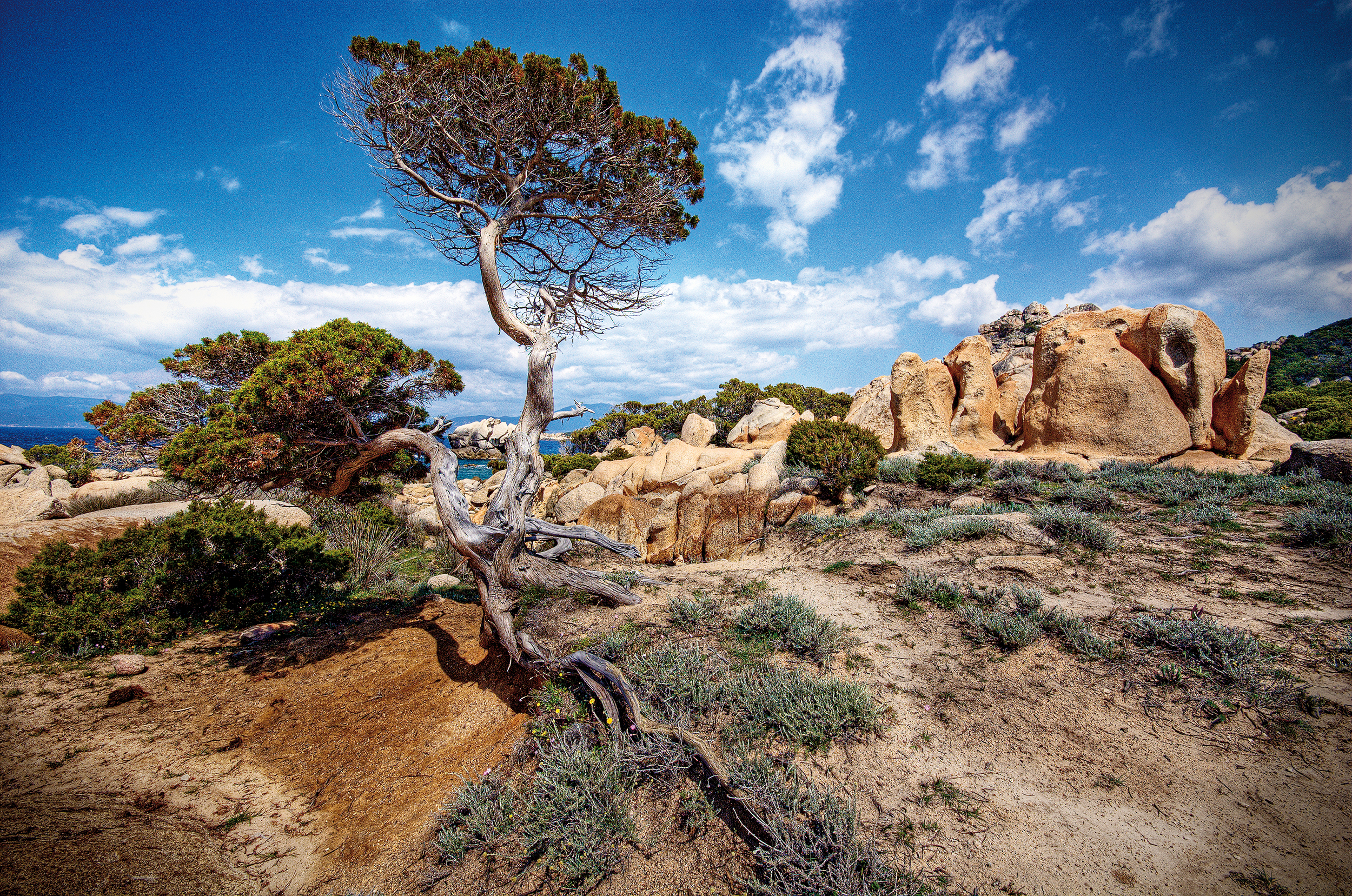 Corsica