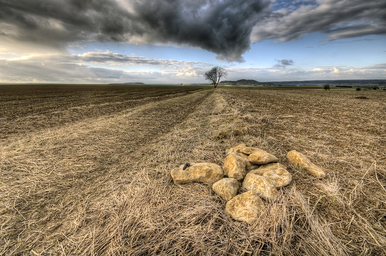 Toscane